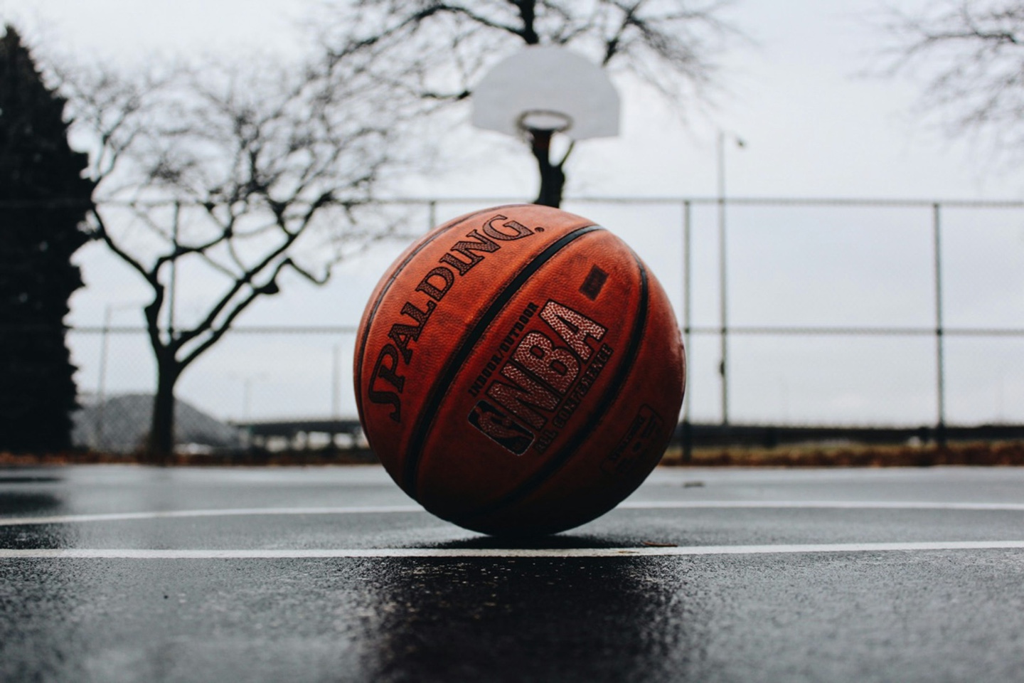 basketball Image