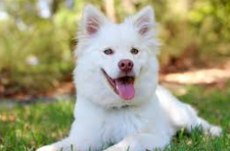 이미지가 없어요 ㅠㅠ