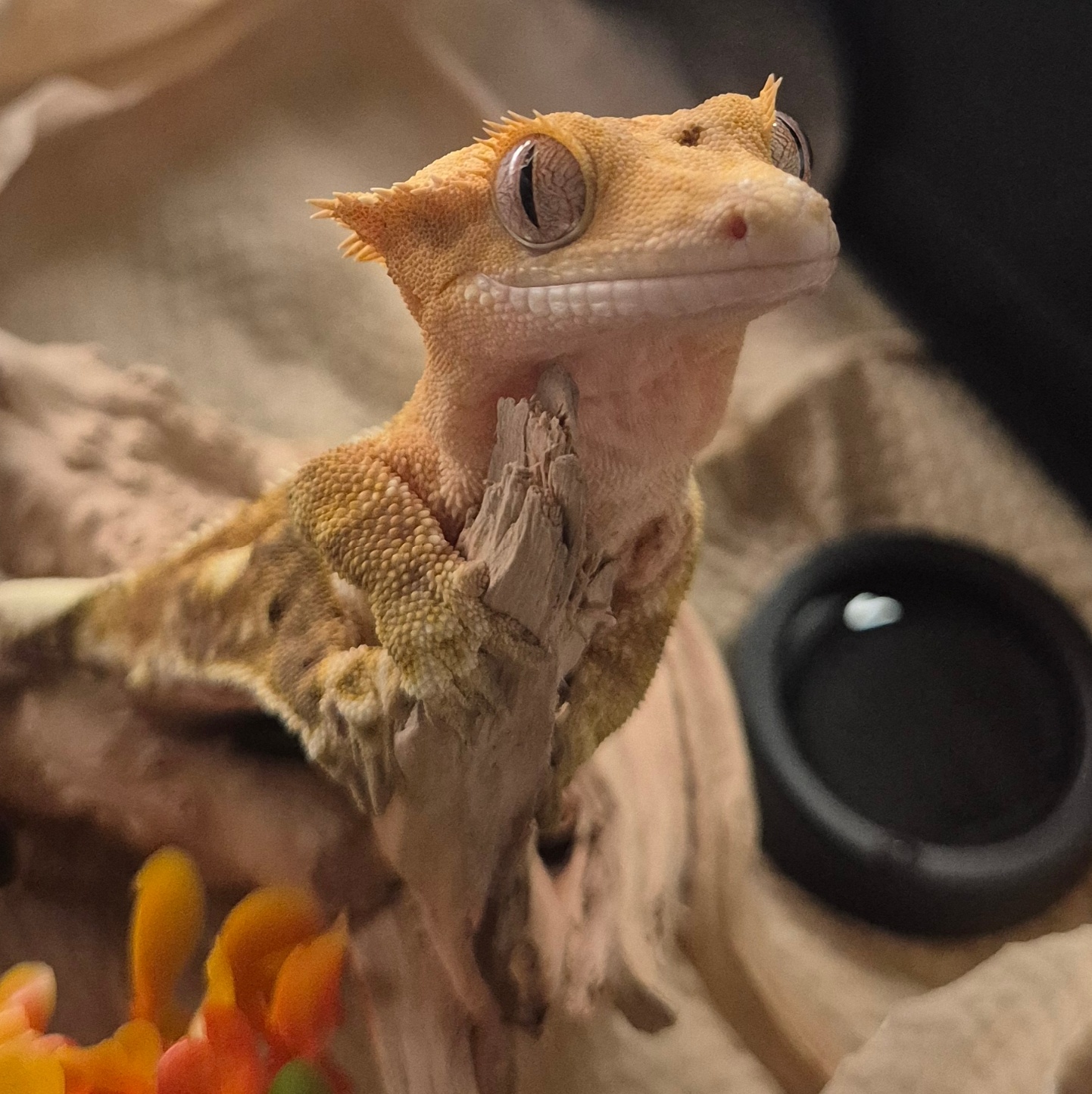 이미지 로딩 오류