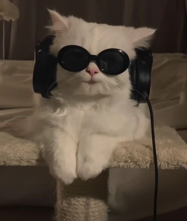 음악을 듣는 사람의 이미지